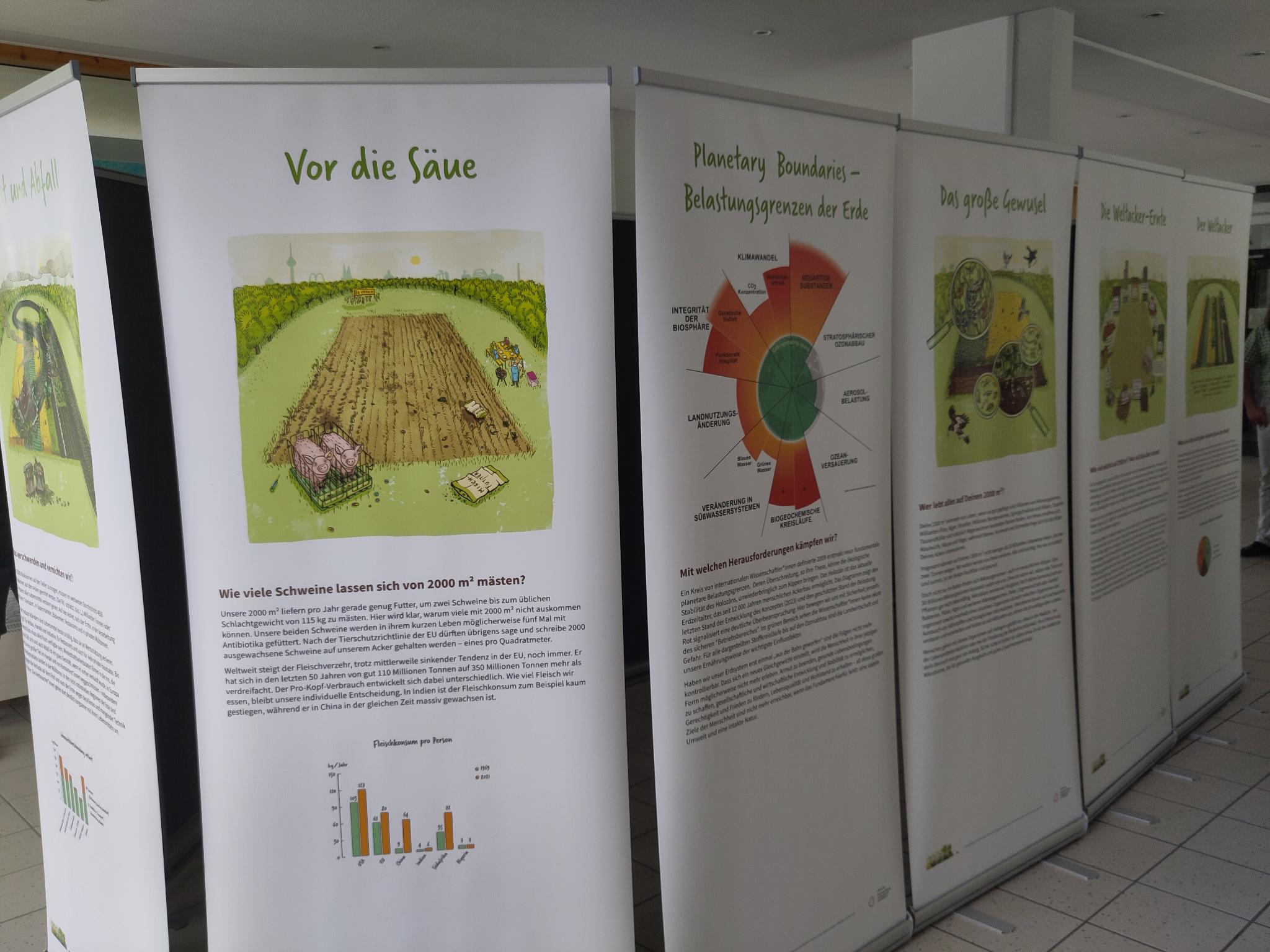 signal 2025 05 05 095539 003